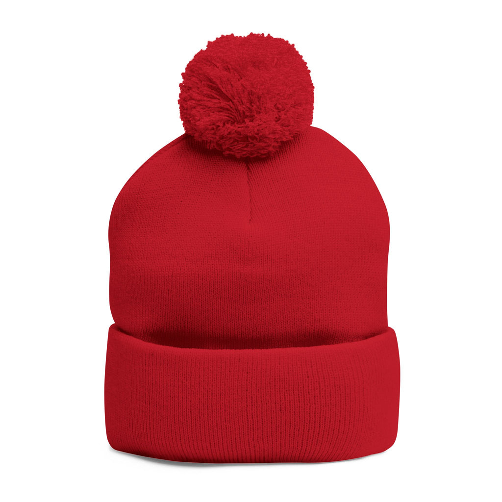 Embroidered Pom-Pom Beanie — Cute Mini Ducklings Knit Hat